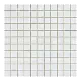 1 X 1 Thassos White Marble Polished Mosaic Tile-Marble Mosaic-American Tile Depot