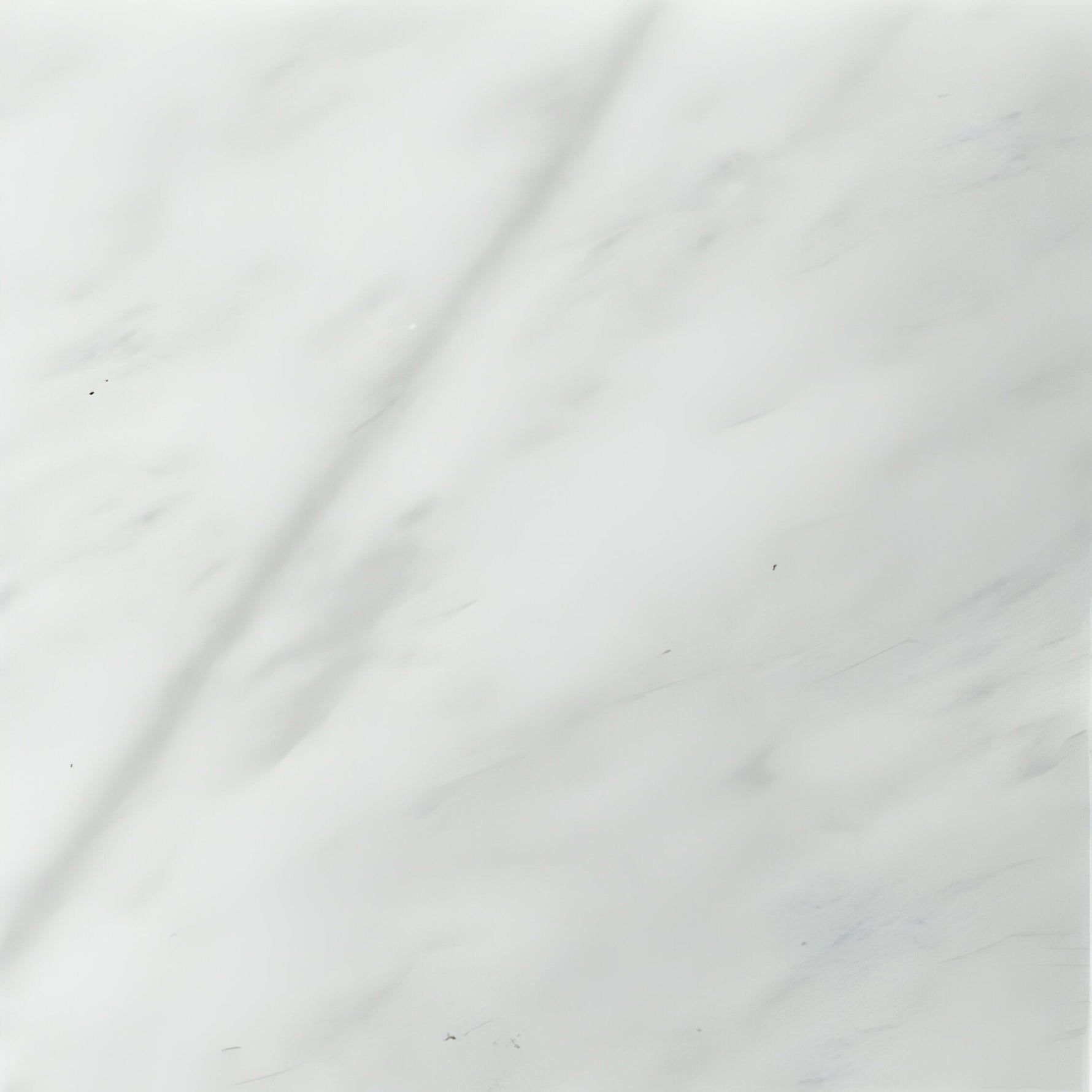 12 X 12 Bianco Venatino (Bianco Mare) Marble Honed Field Tile-Marble Tile-American Tile Depot