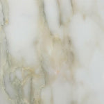 12 X 12 Calacatta Oliva Marble Polished Field Tile-Marble Tile-American Tile Depot