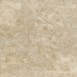 12 X 12 Cappuccino Marble Polished Field Tile-Marble Tile-American Tile Depot