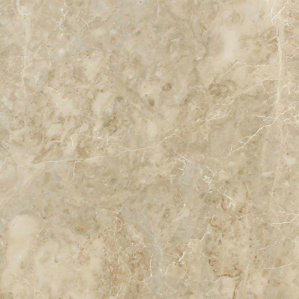 12 X 12 Cappuccino Marble Polished Field Tile-Marble Tile-American Tile Depot