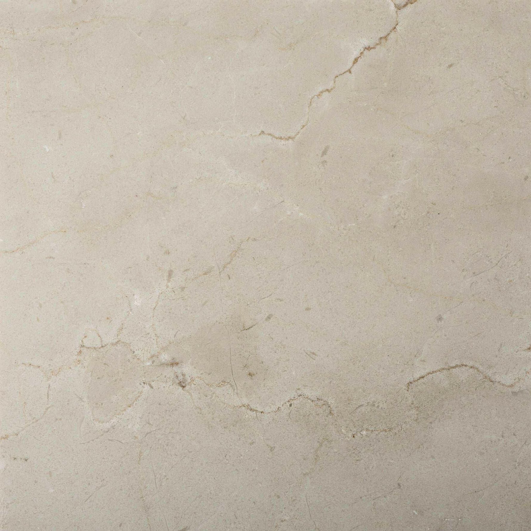 12 X 12 Crema Marfil Marble Polished Field Tile-Marble Tile-American Tile Depot