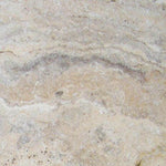 12 X 12 Philadelphia Travertine Filled & Honed Field Tile-Travertine Tile-American Tile Depot