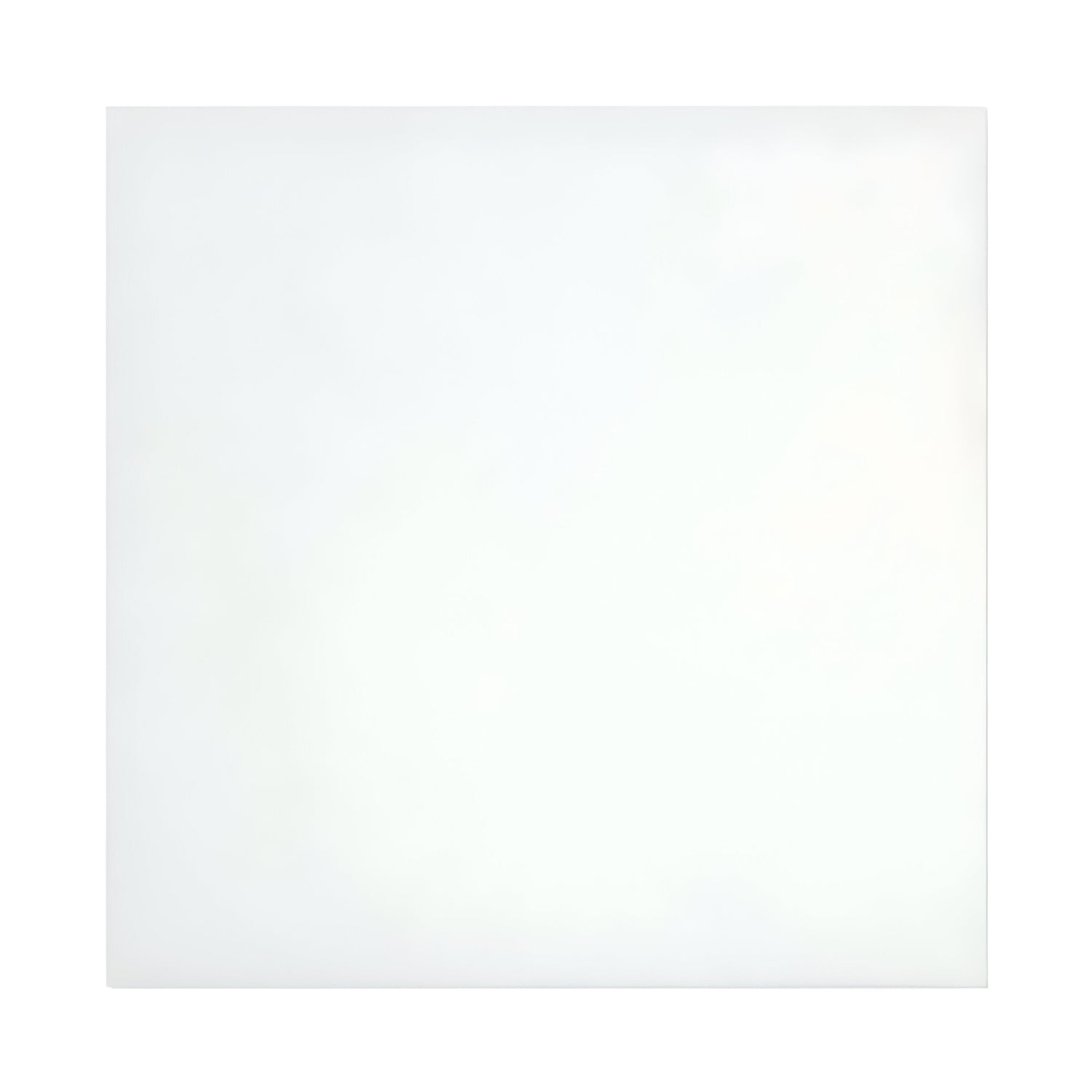 12 X 12 Thassos White Marble Honed Field Tile-Marble Tile-American Tile Depot