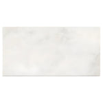 12 X 24 Bianco Congelato Dolomite Leathered Tile-Dolomite - Large Formate-American Tile Depot