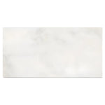 12 X 24 Bianco Congelato Dolomite Leathered Tile-Dolomite - Large Formate-American Tile Depot