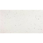 12 x 24 Terrazzo Silver Marble Polished Field Tile-Marble Tile - Large Formate-American Tile Depot