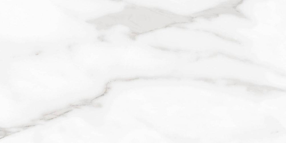 24 X 48 Carenza Bianca Marble Look Matte Porcelain Tile-PORCELAIN-Large Format-American Tile Depot