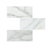 12 X 24 Calacatta Oliva Marble Polished Tile