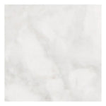 18 X 18 Bianco Congelato Dolomite Leathered Tile-Dolomite - Large Formate-American Tile Depot