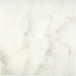 18 X 18 Calacatta Oliva Marble Honed Tile-Marble Tile - Large Formate-American Tile Depot