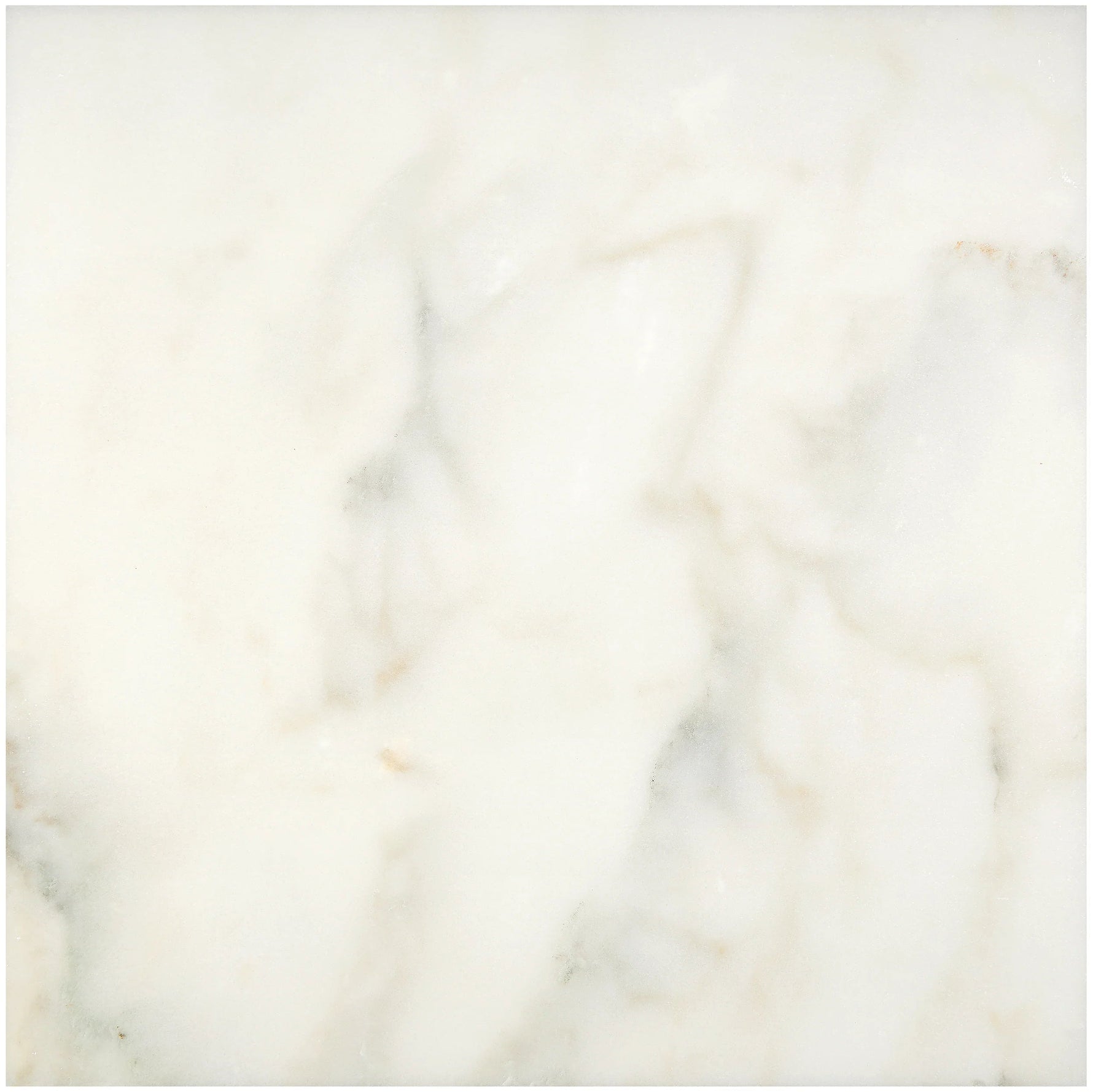 18 X 18 Calacatta Oliva Marble Polished Tile-Marble Tile - Large Formate-American Tile Depot