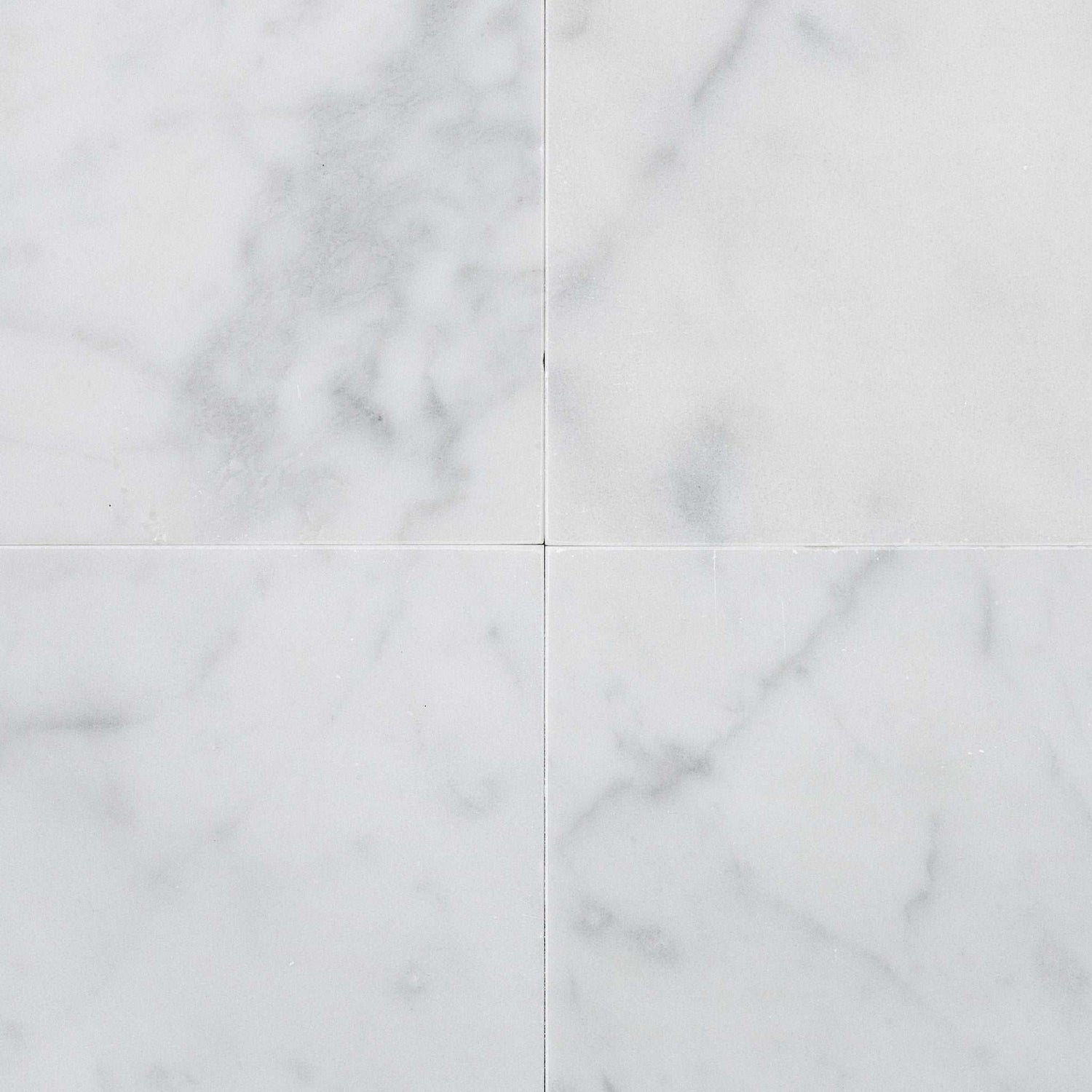 12 X 12 Carrara White Marble Honed Field Tile