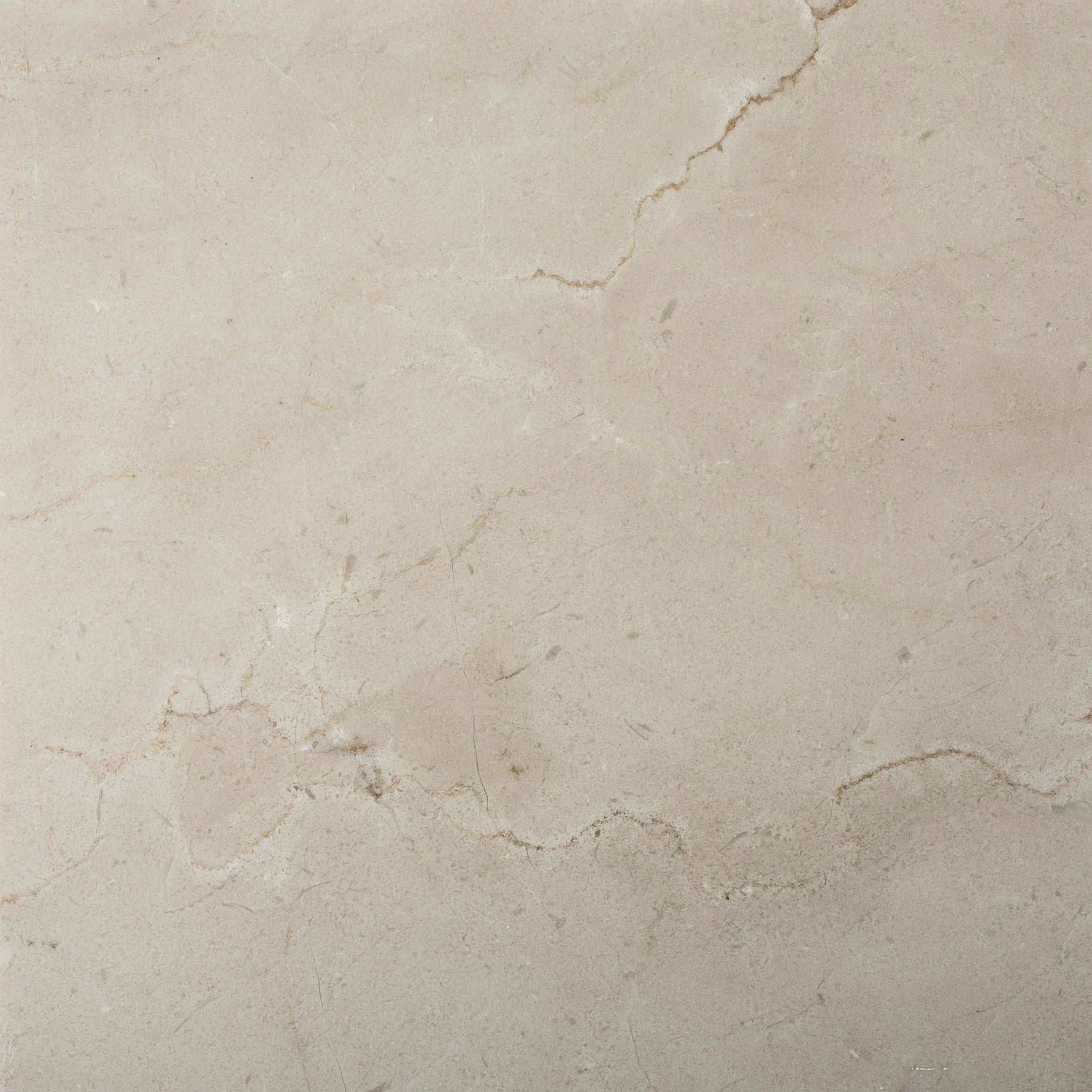 12 X 12 Crema Marfil Marble Polished Field Tile