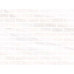 2 X 6 Bianco Dolomite Polished Tile-Marble Tile-American Tile Depot