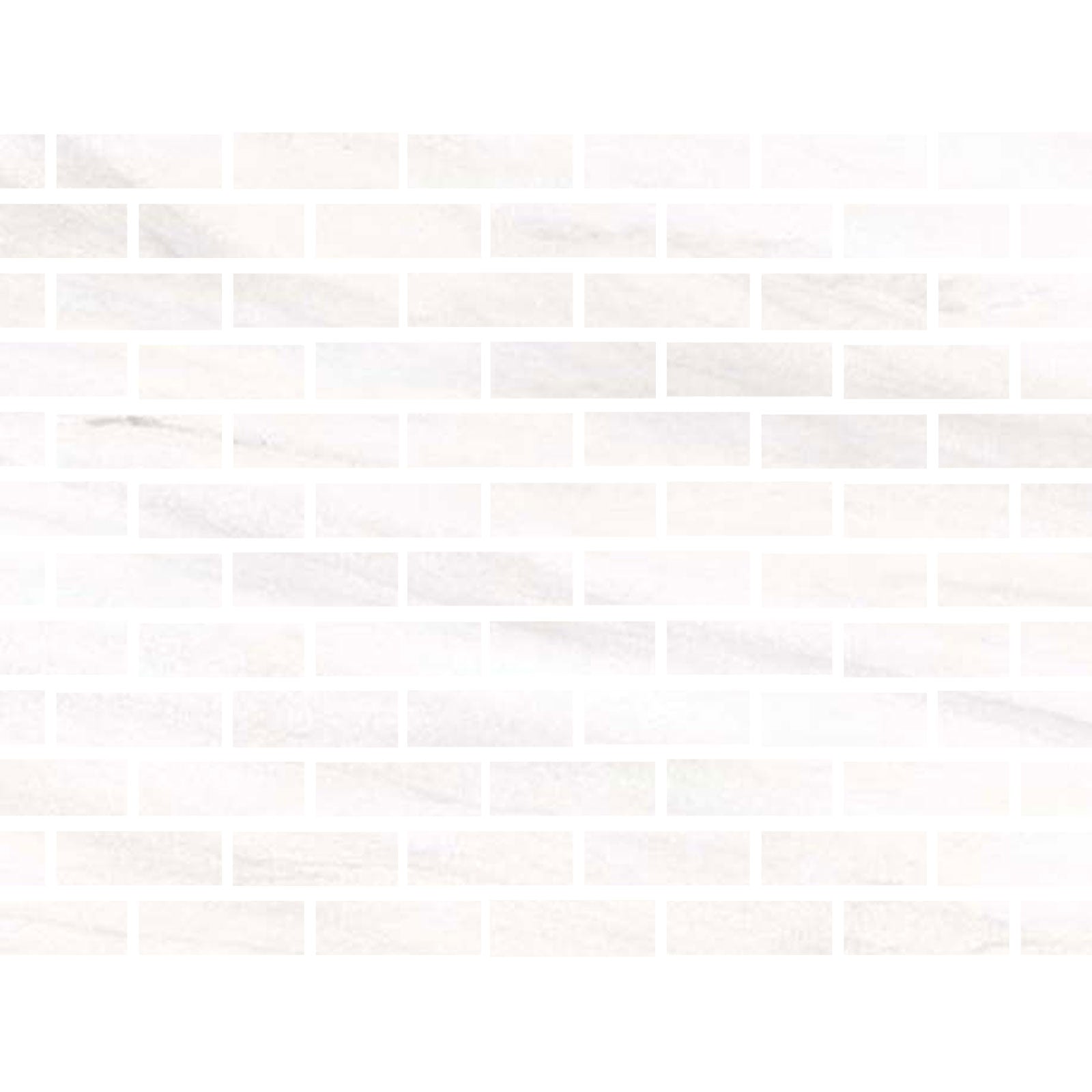 2 X 6 Bianco Dolomite Polished Tile-Marble Tile-American Tile Depot