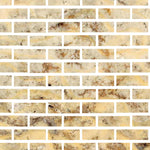 2 X 6 Scabos Travertine Cross Cut Filled & Honed Field Tile-Travertine Tile-American Tile Depot