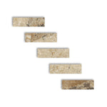 2 X 8 Philadelphia Travertine Filled & Honed Tile-Travertine Tile-American Tile Depot