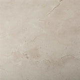 12 X 12 Crema Marfil Marble Honed Field Tile