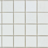 2 X 2 Thassos White Marble Polished Mosaic Tile-Marble Mosaic-American Tile Depot