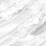 24 X 24 Bianco Carrara Polished Marble Look Porcelain Tile-Porcelain Tile Large Formate-American Tile Depot