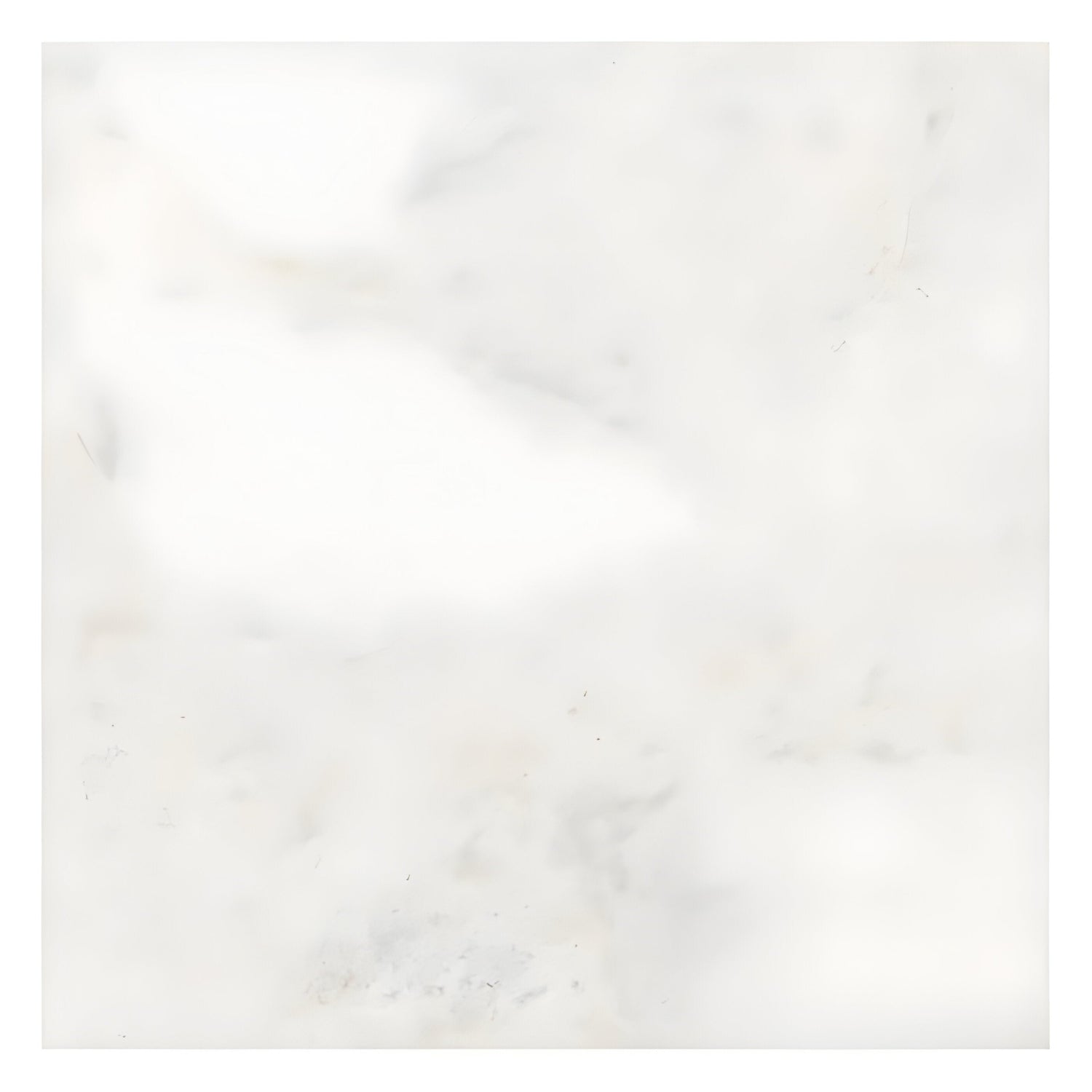 24 X 24 Bianco Congelato Dolomite Leathered Tile-Dolomite - Large Formate-American Tile Depot