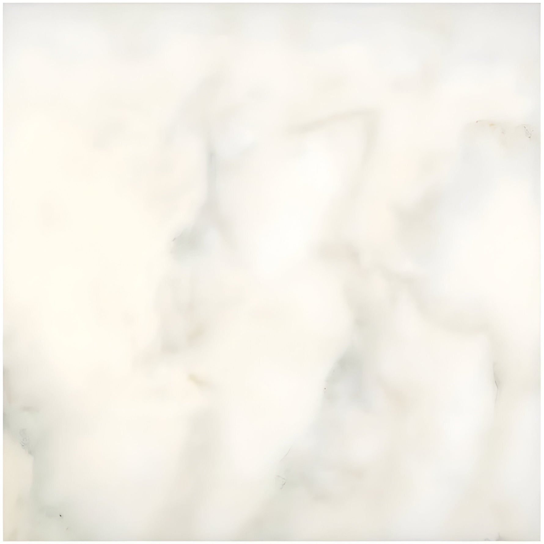 24 X 24 Calacatta Oliva Marble Polished Tile-Marble Tile - Large Formate-American Tile Depot