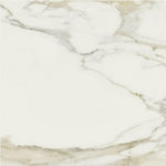 24 X 24 Classici Calacatta Gold Matte Marble Look Porcelain Tile-PORCELAIN-Large Format-American Tile Depot