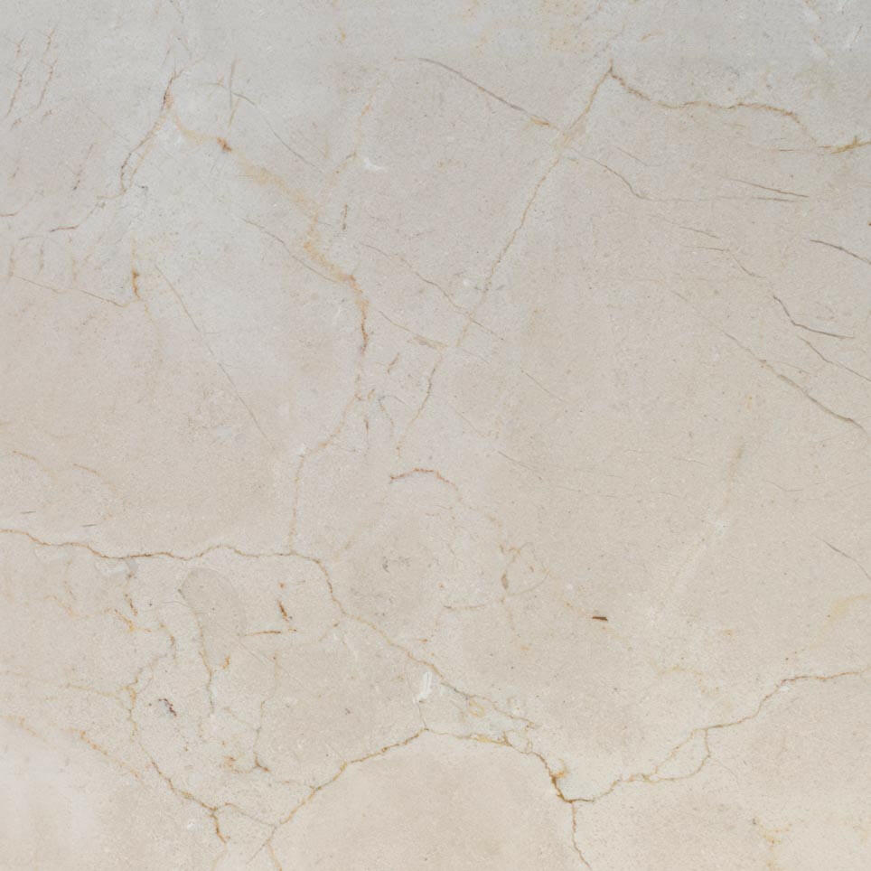 24 X 24 Crema Marfil Marble Polished Field Tile-Marble Tile - Large Formate-American Tile Depot