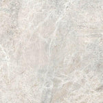 24 X 24 Lizard Grey Polished Marble Look Porcelain Tile-Porcelain Tile Large Formate-American Tile Depot