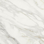 24 X 24 Marmi Macchiavecchia Levigato Polished Marble Look Porcelain Tile-PORCELAIN-Large Format-American Tile Depot