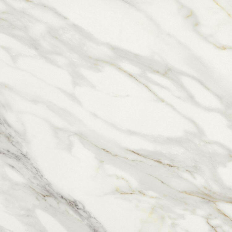 24 X 24 Marmi Macchiavecchia Levigato Polished Marble Look Porcelain Tile-PORCELAIN-Large Format-American Tile Depot