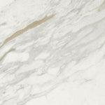 24 X 24 Marmi Macchiavecchia Levigato Polished Marble Look Porcelain Tile-PORCELAIN-Large Format-American Tile Depot