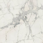 24 X 24 Prexious Mountain Treasure Glossy Marble Look Porcelain Tile-PORCELAIN-Large Format-American Tile Depot