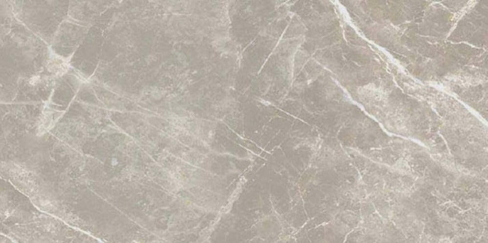 24 X 48 Dolomia Grey Nat Matte Marble Look Porcelain Tile-PORCELAIN-Large Format-American Tile Depot