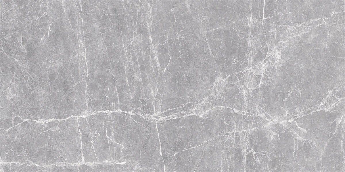 24 X 48 Terre Grey Polished Marble Look Porcelain Tile-Porcelain Tile Large Formate-American Tile Depot