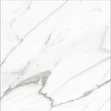 24 X 24 AGL Carrara Marble Look Matte Porcelain Tile