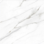 24 X 24 AGL Carrara Marble Look Matte Porcelain Tile-PORCELAIN-Large Format-American Tile Depot