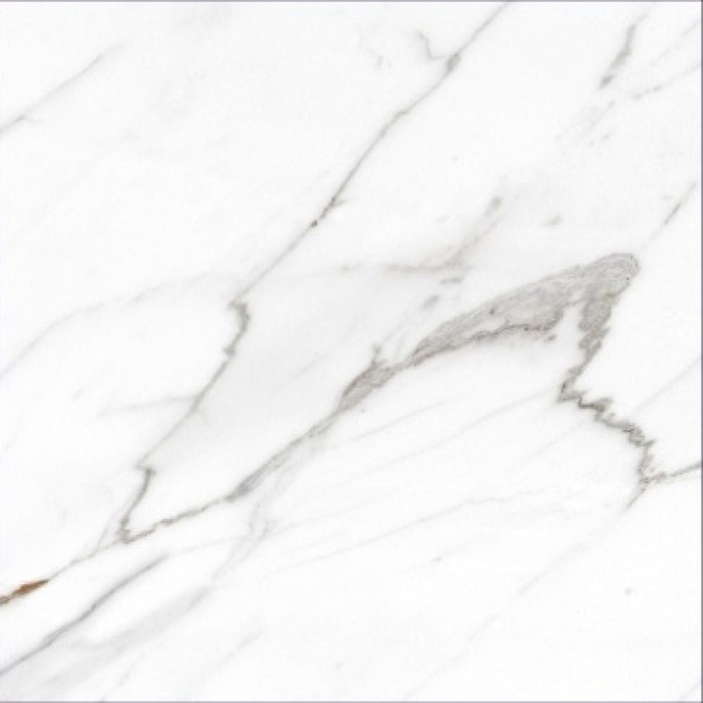 24 X 24 AGL Carrara Marble Look Matte Porcelain Tile-PORCELAIN-Large Format-American Tile Depot