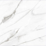 24 X 24 AGL Carrara Marble Look Matte Porcelain Tile