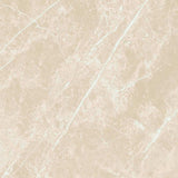 24 X 24 Dolomia Cream Luc Glossy Marble Look Porcelain Tile