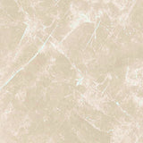 24 X 24 Dolomia Cream Luc Glossy Marble Look Porcelain Tile