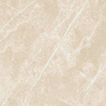 24 X 24 Dolomia Cream Luc Glossy Marble Look Porcelain Tile-PORCELAIN-Large Format-American Tile Depot