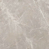 24 X 24 Dolomia Grey Luc Glossy Marble Look Porcelain Tile