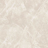 24 X 24 Dolomia White Nat Matte Marble Look Porcelain Tile-PORCELAIN-Large Format-American Tile Depot