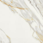 24 X 24 Marmi Macchiavecchia Levigato Polished Marble Look Porcelain Tile-PORCELAIN-Large Format-American Tile Depot