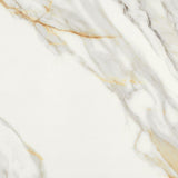 24 X 24 Marmi Macchiavecchia Levigato Polished Marble Look Porcelain Tile-PORCELAIN-Large Format-American Tile Depot