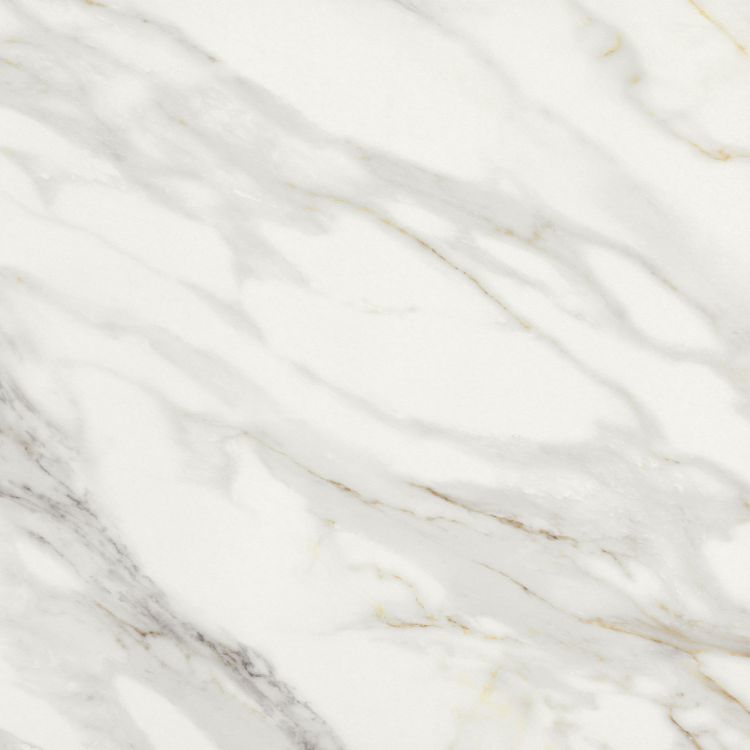 24 X 24 Marmi Macchiavecchia Levigato Polished Marble Look Porcelain Tile-PORCELAIN-Large Format-American Tile Depot