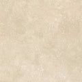 Beige Matte 24X48