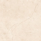 24 X 24 Crema Marfil Marble Honed Tile